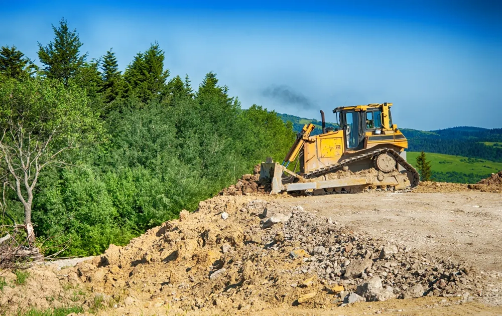 Buldożer wyrównujący teren przy lesie – niwelacja terenu