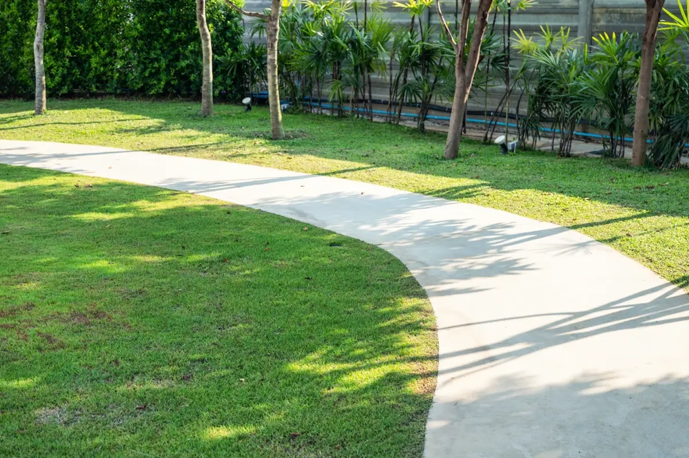 Chodnik betonowy prowadzący przez zadbany trawnik obok drzew i krzewów