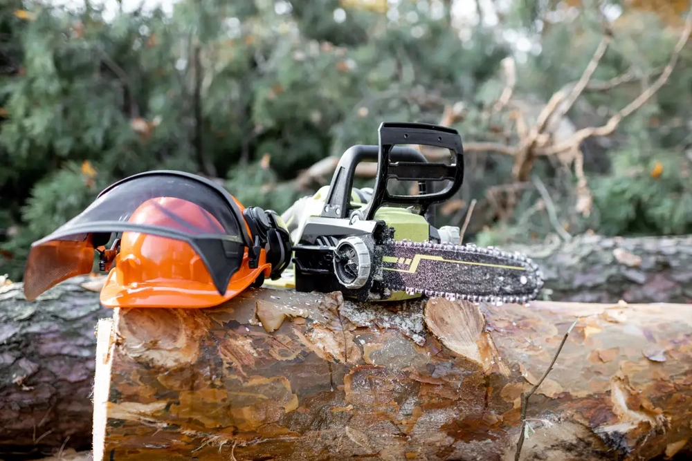 Kask ochronny i piła łańcuchowa na ściętym pniu drzewa – wycinka drzew
