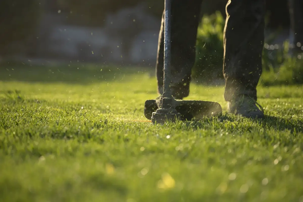Koszenie trawników podkaszarką – precyzyjne przycięcie trawy przy krawędziach ogrodowego trawnika