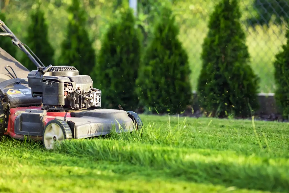 Spalinowa kosiarka w trakcie koszenia trawników z wyrzutem skoszonej trawy