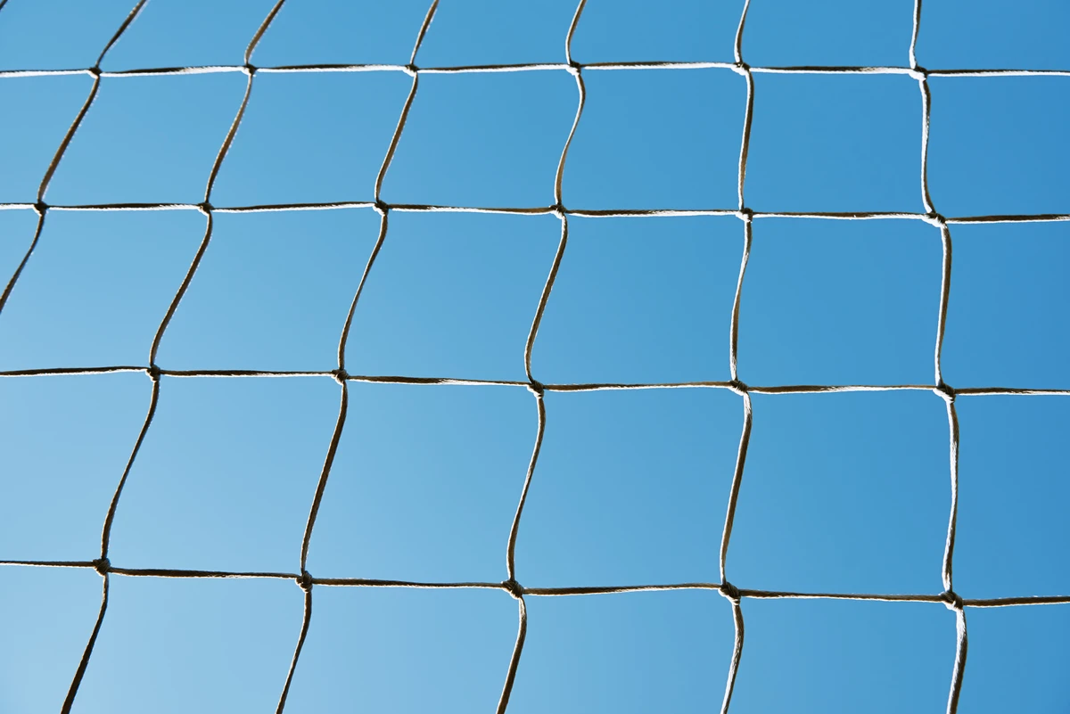 Ochronna siatka ogrodowa o kwadratowych oczkach na tle jasnego nieba