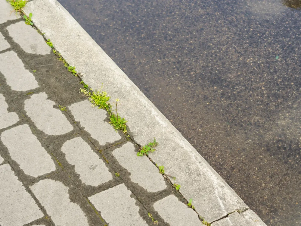 czyszczenie kostki brukowej